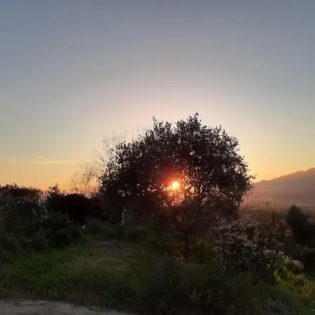 Le Nid D'aigle - Proche Ajaccio 公寓 *